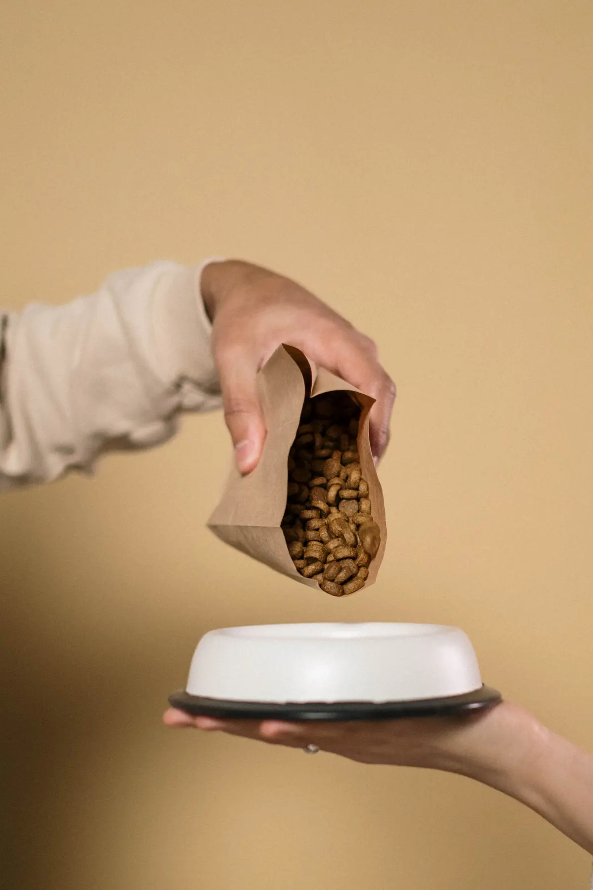 A person pours dry pet food from a scoop into a bowl.